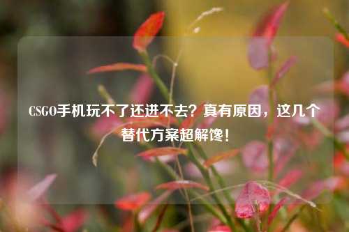 CSGO手机玩不了还进不去?真有原因,这几个替代方案超解馋!