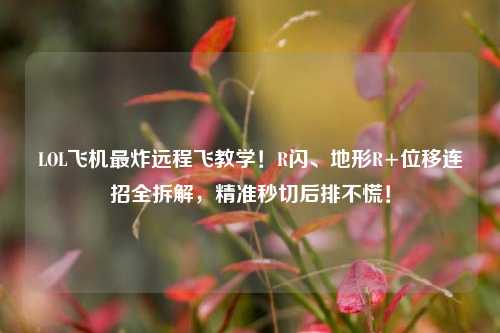 LOL飞机最炸远程飞教学!R闪、地形R+位移连招全拆解,精准秒切后排不慌!