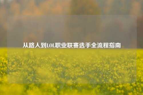 从路人到LOL职业联赛选手全流程指南