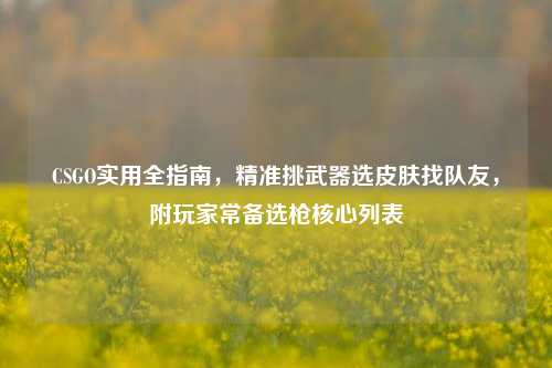 CSGO实用全指南,精准挑武器选皮肤找队友,附玩家常备选枪核心列表
