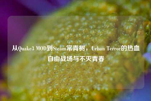 从Quake3 MOD到Steam常青树，Urban Terror的热血自由战场与不灭青春