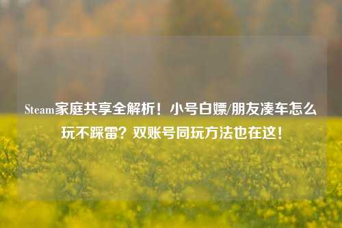 Steam家庭共享全解析！小号白嫖/朋友凑车怎么玩不踩雷？双账号同玩方法也在这！