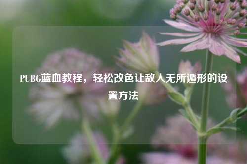 PUBG蓝血教程,轻松改色让敌人无所遁形的设置方法