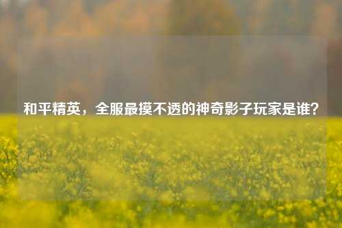 和平精英,全服最摸不透的神奇影子玩家是谁?