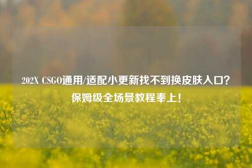 202X CSGO通用/适配小更新找不到换皮肤入口?保姆级全场景教程奉上!