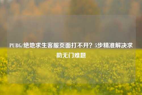 PUBG/绝地求生客服页面打不开?5步精准解决求助无门难题