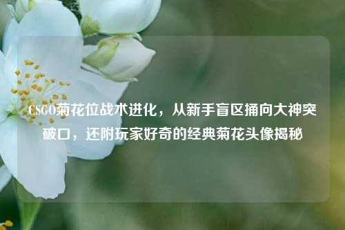CSGO菊花位战术进化，从新手盲区捅向大神突破口，还附玩家好奇的经典菊花头像揭秘