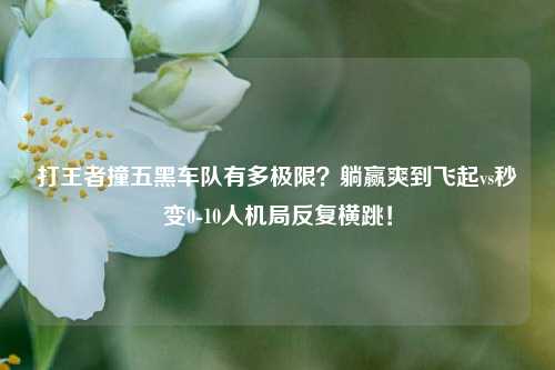 打王者撞五黑车队有多极限?躺赢爽到飞起vs秒变0-10人机局反复横跳!