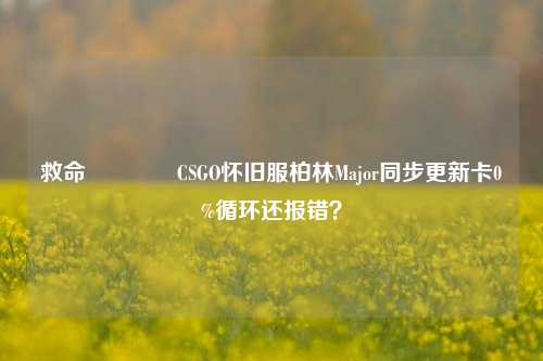 救命🆘CSGO怀旧服柏林Major同步更新卡0%循环还报错?