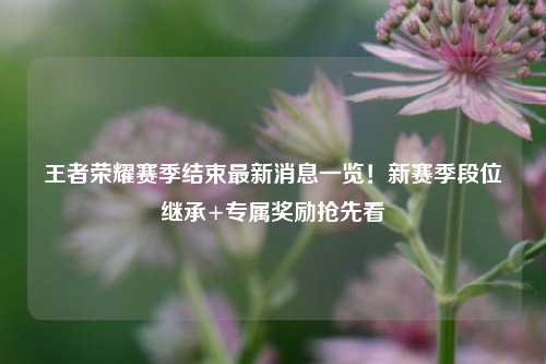 王者荣耀赛季结束最新消息一览!新赛季段位继承+专属奖励抢先看