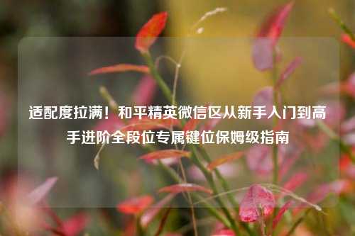 适配度拉满!和平精英微信区从新手入门到高手进阶全段位专属键位保姆级指南