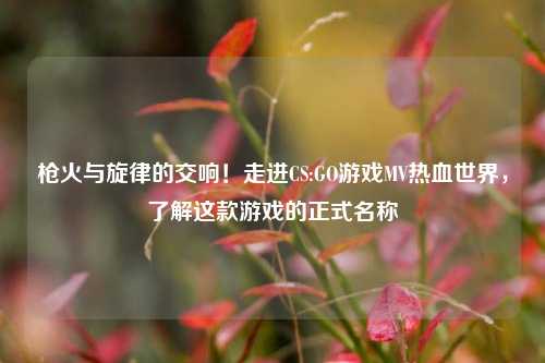 枪火与旋律的交响！走进CS:GO游戏MV热血世界，了解这款游戏的正式名称