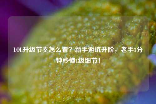 LOL升级节奏怎么看?新手避坑升阶,老手3分钟秒懂1级细节!