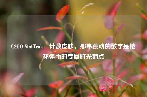 CSGO StatTrak™计数皮肤,那串跳动的数字是枪林弹雨的专属时光锚点