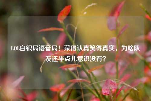 LOL白银局语音局!菜得认真笑得真实,为啥队友还半点儿意识没有?
