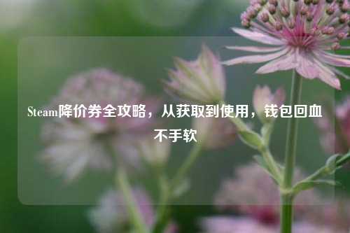 Steam降价券全攻略,从获取到使用,钱包回血不手软