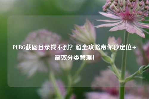 PUBG截图目录找不到？超全攻略带你秒定位+高效分类管理！